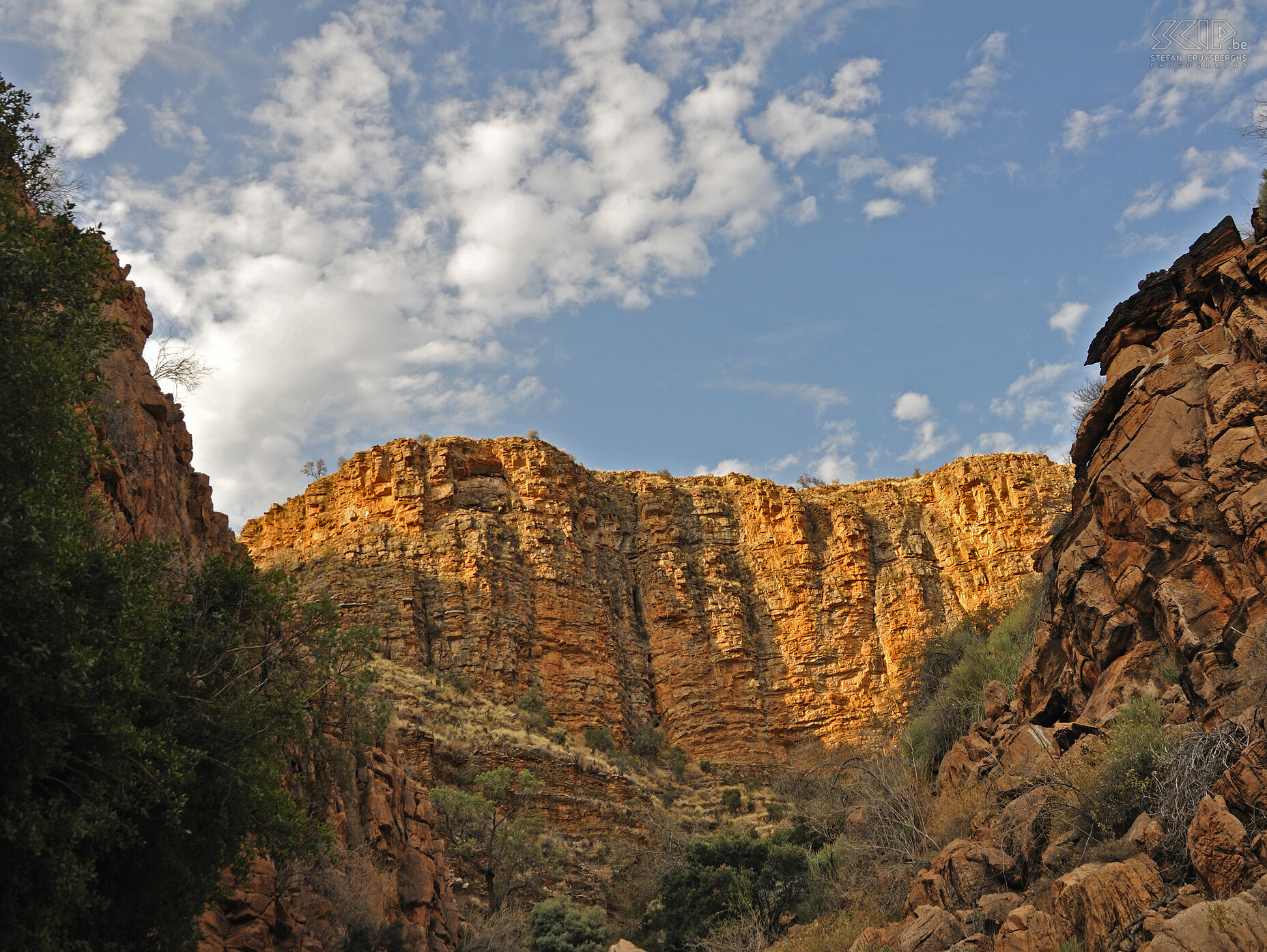 Naukluft - Olive trail In the national park Naukluft we walk the Olive trail which brings us to a large canyon. Stefan Cruysberghs